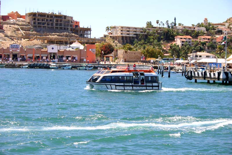 Cabo San Lucas 33