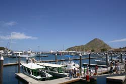 Cabo San Lucas 15