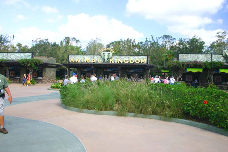 Animal Kingdom 01