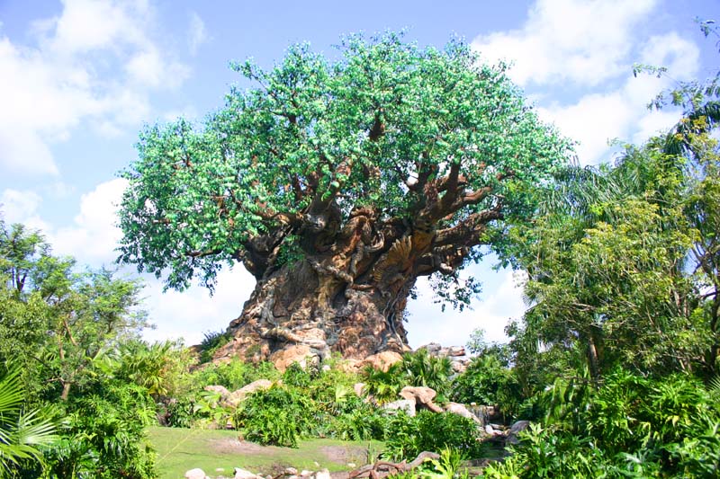 Animal Kingdom 08