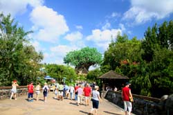 Animal Kingdom 06